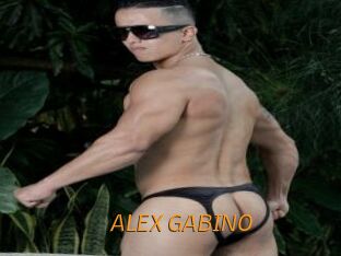 ALEX_GABINO