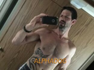 ALPHADOG