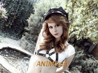 ANIMEgir1