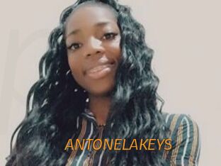 ANTONELAKEYS