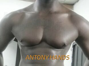 ANTONY_HANDS