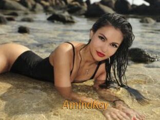 AminaKey