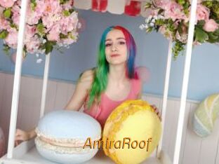 AmiraRoof