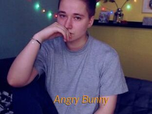 Angry_Bunny