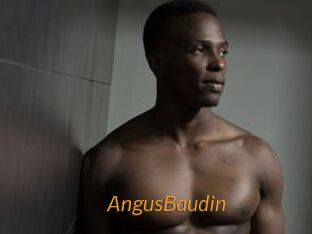 AngusBaudin