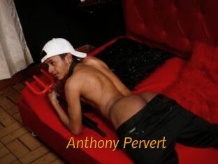 Anthony_Pervert