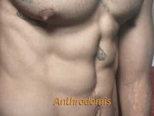 Anthrodomis
