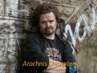 Arachnis_Chiropterus