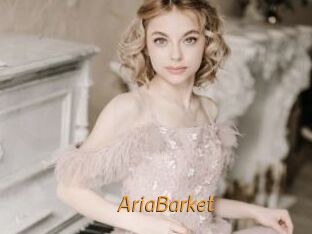 AriaBarket Porn University