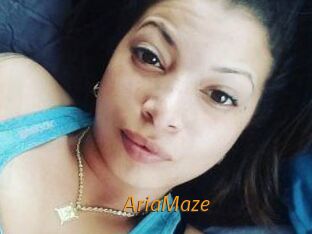 Aria_Maze