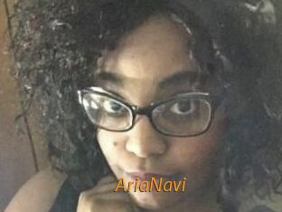 AriaNavi