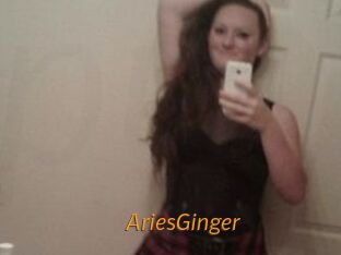 AriesGinger