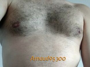 Arnaud95300