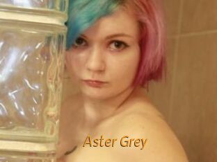 Aster_Grey