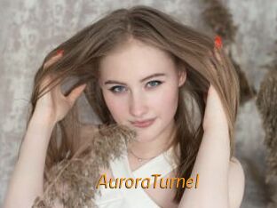 AuroraTurnel