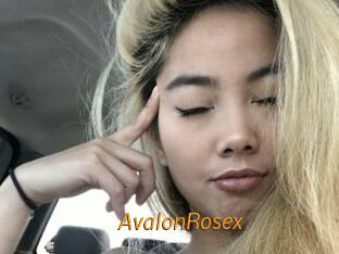 AvalonRosex