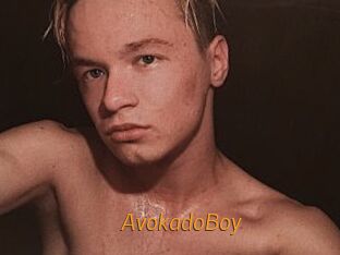 AvokadoBoy