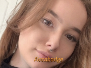 Accabodge