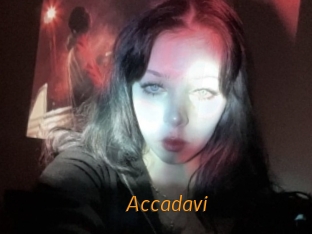 Accadavi