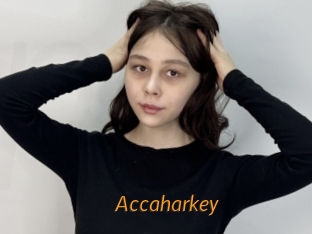 Accaharkey