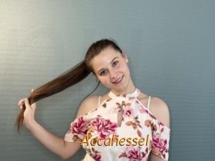 Accahessel