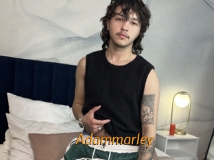 adammarley Porn University