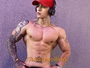 Adamscollims