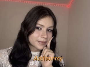 addisonrey Porn University