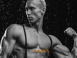 Adonis_