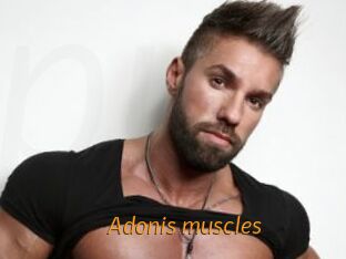 Adonis_muscles