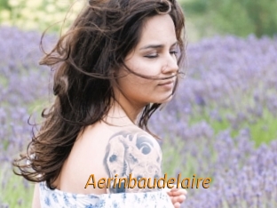 aerinbaudelaire Porn University