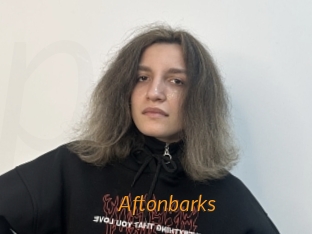 Aftonbarks