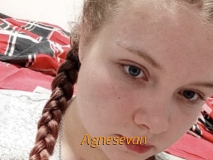 Agnesevan