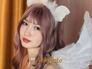 akikosato Porn University