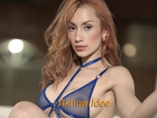 Aknawildee