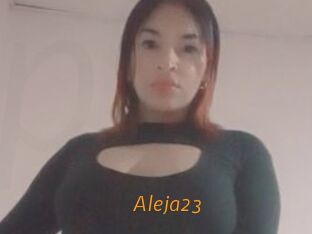 Aleja23
