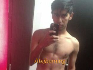 Alejburning