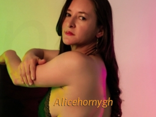 alicehornygh Porn University