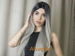 Alicequin
