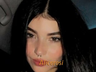 Alicerosi