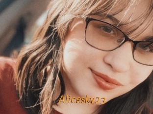 Alicesky23
