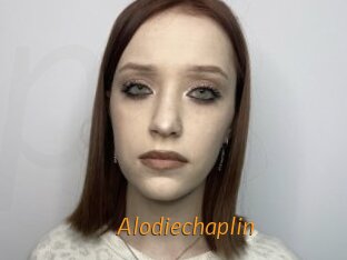 Alodiechaplin