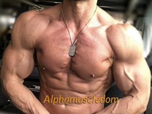 alphamuscledom Porn University