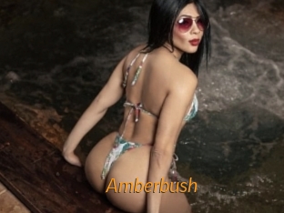 amberbush Porn University