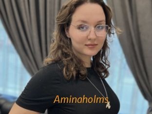 Aminaholms