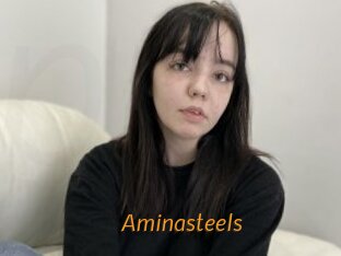 Aminasteels