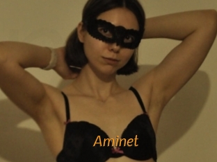 Aminet