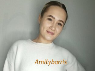Amitybarris