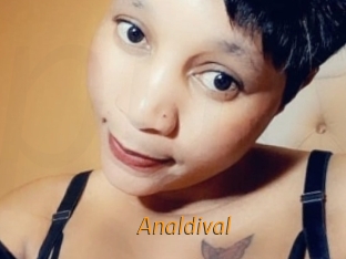 analdival Porn University