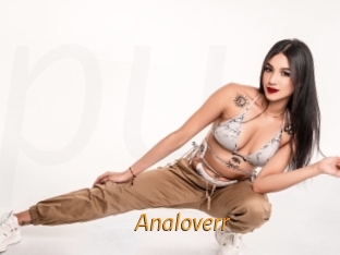Analoverr